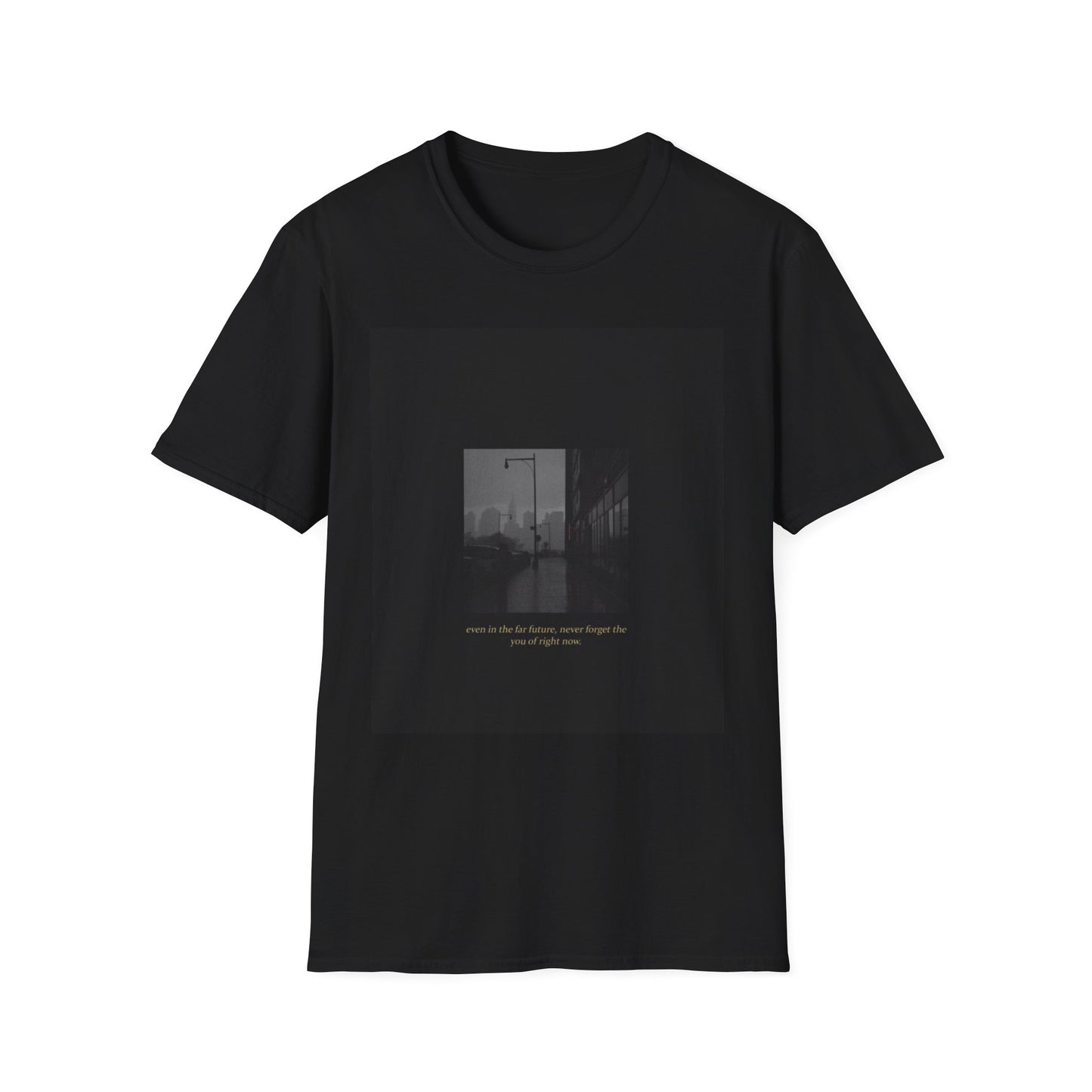 Moody Tee-Shirt | Unisex Softstyle Tee for Everyday Wear