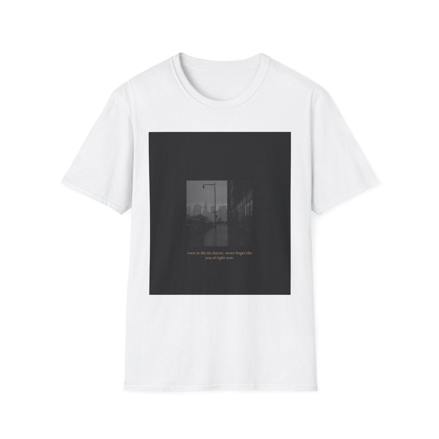 Moody Tee-Shirt | Unisex Softstyle Tee for Everyday Wear