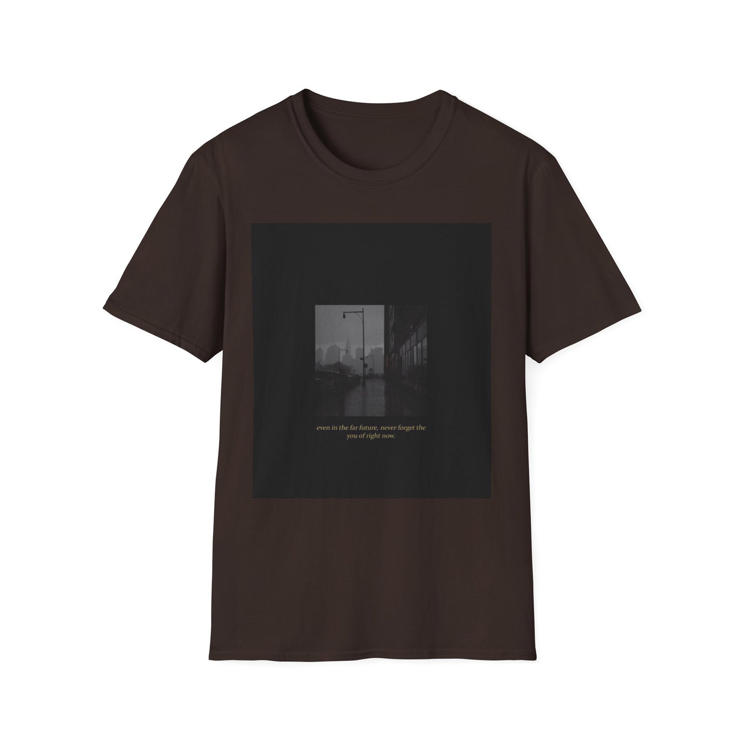 Moody Tee-Shirt | Unisex Softstyle Tee for Everyday Wear