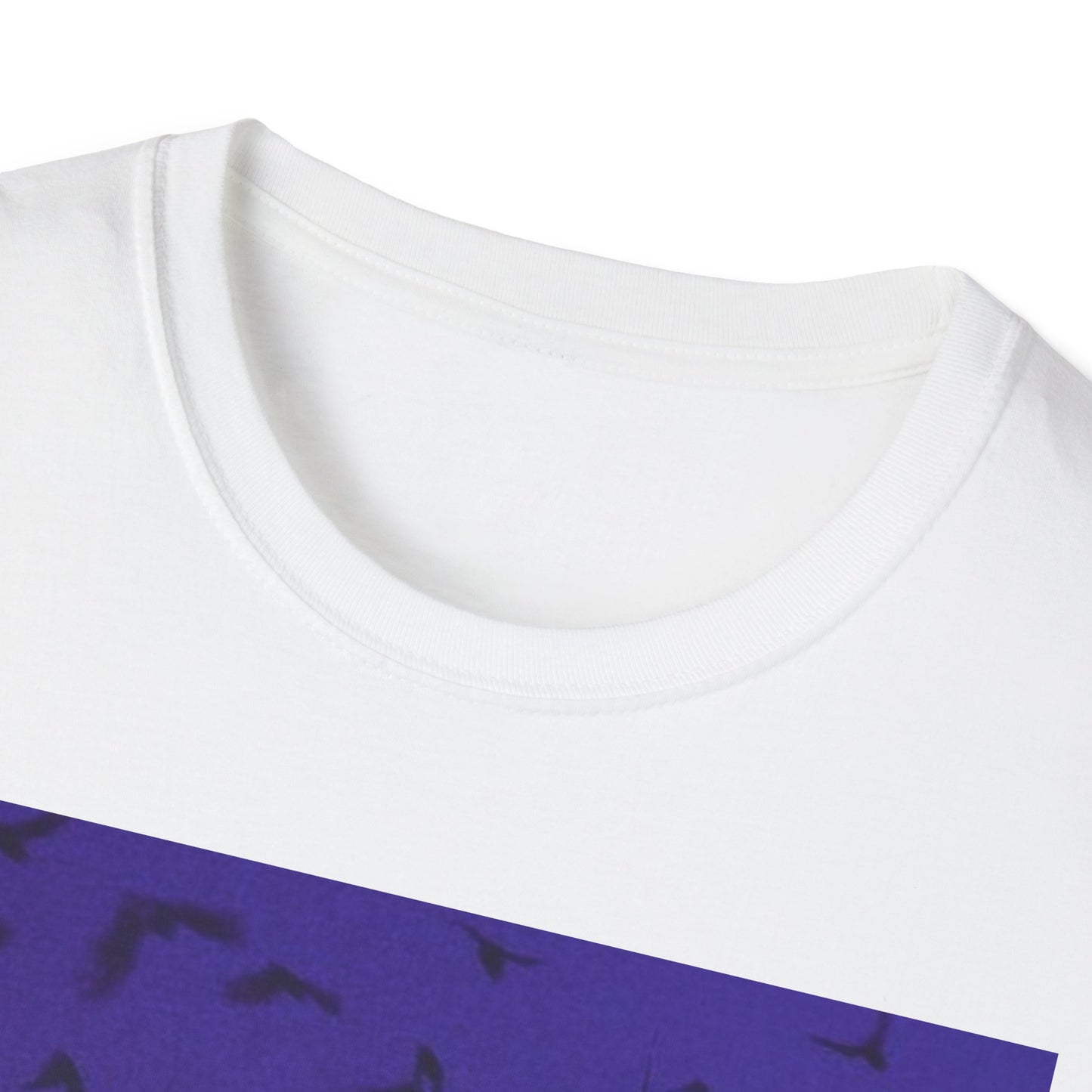 Cathedral Series T-Shirt - Unisex Softstyle Tee for Fantasy Lovers
